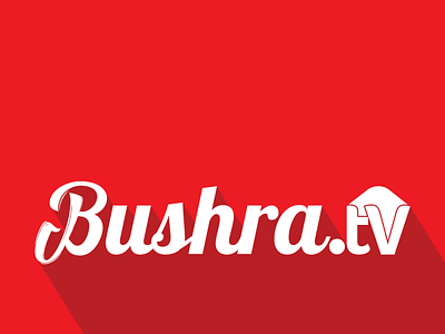 Bushra TV Logo 2