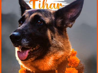 kukur tihar design diwali dog graphic design graphicdesign illustration kukur tihar logo logo design nepal nepali art pidus tihar vector