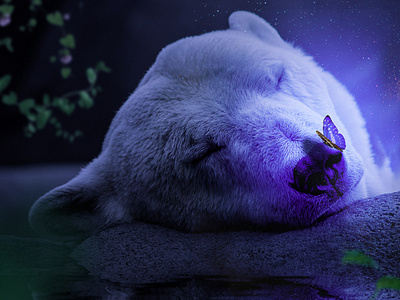 Purple polar  bear