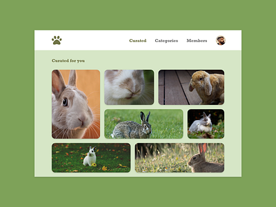 Daily UI #091 - Curated for You adobe adobe xd adobexd bunnies bunny curate curated curated for you cute daily daily 100 challenge daily ui dailyui dailyuichallenge design for you rabbit rabbits ui ux