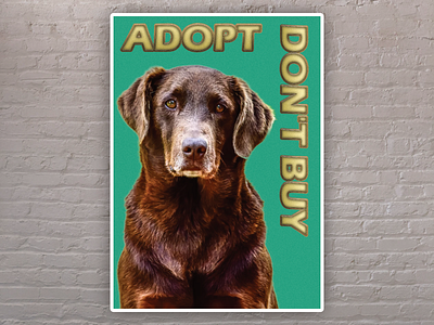 Dog Rescue Poster