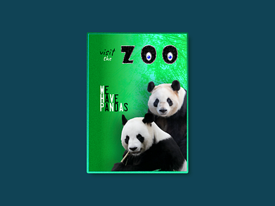 Zoo Poster affinity affinity photo affinityphoto animal animals bamboo branding cute design greens panda panda bear pandas poster poster art poster design posters visit we have pandas zoo
