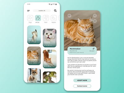 Adopt a Pet adopt adorable animals cat cats chonk cute design figma fuzzy graphic graphic design green kitty like love simple teal ui ux