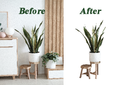 I will do professional background removal with transparent png background removal background removal service background white brand identity creative design design image editing photoshop editing