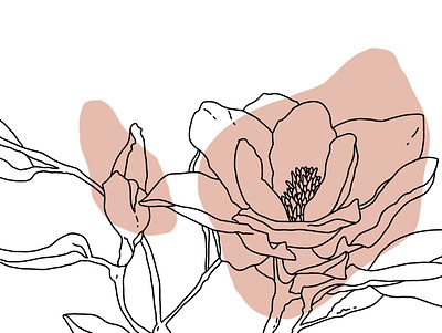 magnolia line art contour design digital art hand drawn illustration isolated line art magnolia pink