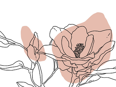 magnolia line art