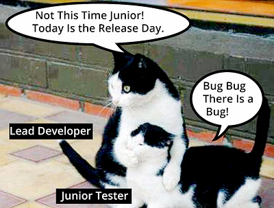 Little war between the junior tester and lead developer coding codingmemes meme memes programmer programmerhumor swayam swayaminfotech test tester