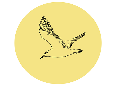 Flying Bird - Vector Design art bird branding design designer graphic design illustration logo design ui v vector
