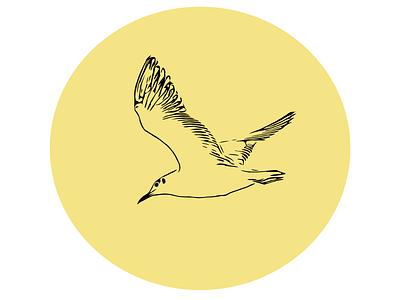 Flying Bird - Vector Design