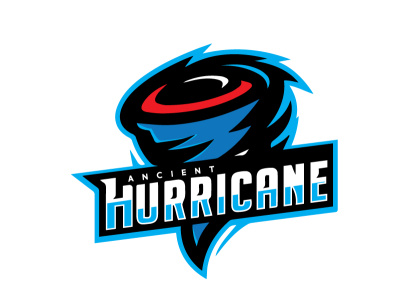 hurricane branding design illustration logo