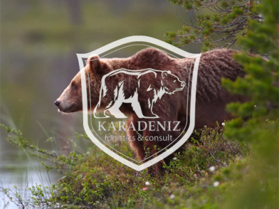 Karadeniz branding design logo vector