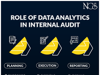 Role of Data Analytics in Internal Audit fintech app