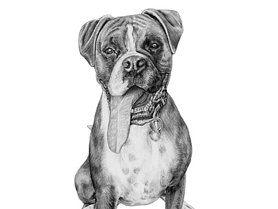 Custom Portrait Illustration - Sophie the Boxer Dog