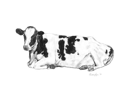 Custom Pet Portrait - Eric the Cow custom portraits illustration pencil illustration