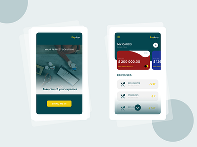 Payment Mobile App app creditcard design mobile pay ui