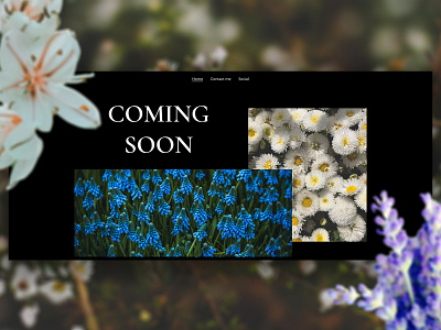 Coming Soon Landing Website Design branding branding design business design flowers homepage homepage design landing design landing page landing page design layout minimal minimalism minimalistic onepage ui ux webdesign website website design