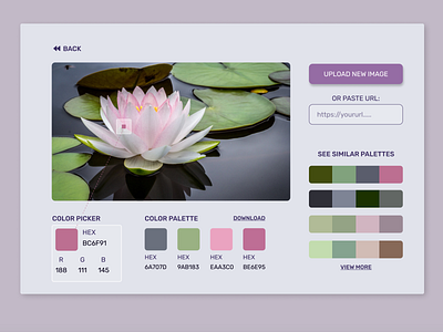 Day-9 - Color Picker concept 365 daily challenge color picker design product design ui ui ux ui design uiux ux website design