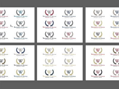 Color options logo design