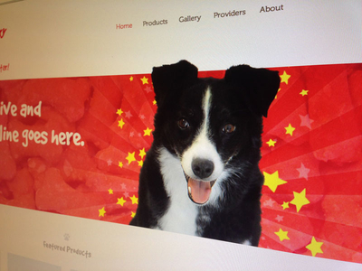 Home Page: Dog Hero web design website