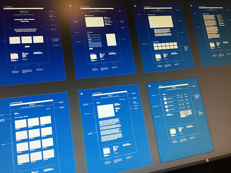 RGS Blueprint Wireframes wireframes ia blueprint blueprint wireframing