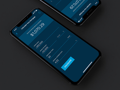 Daily UI 004: Calculator