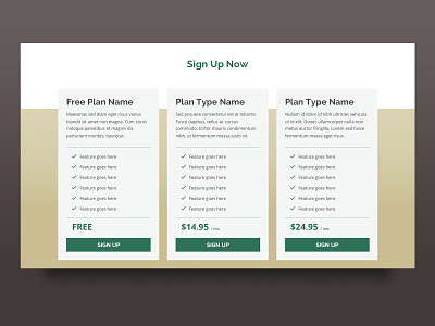 Daily UI 030: Pricing daily ui daily ui challenge pricing table ui web design