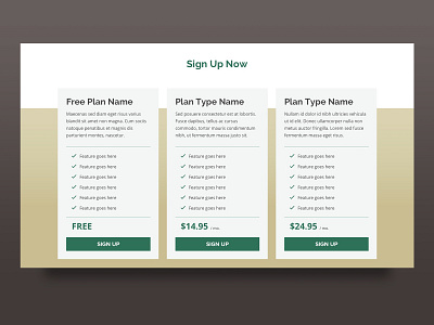 Daily UI 030: Pricing