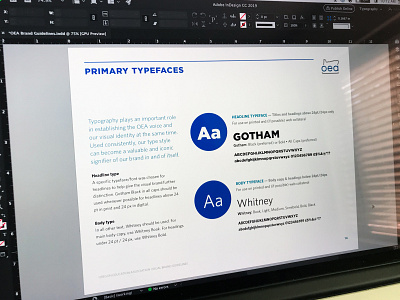 Visual brand guidelines: typefaces