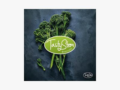 Tasty Stem branding design green logo natural