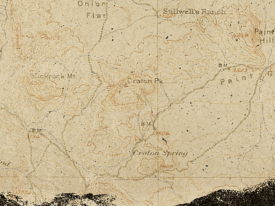 Montgomery Brown (WIP) - Detail big bend bluegrass folk grain indie map old texas texture topographic vintage