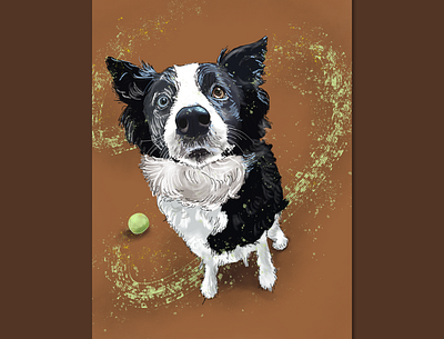 Bella - portrait 🎾 adobe sketch border collie dog illustration portrait tennis ball