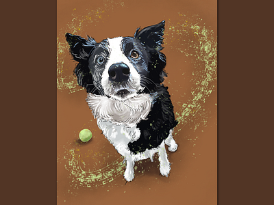 Bella - portrait 🎾