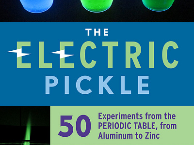 The Electric Pickle book cover book cover lettering