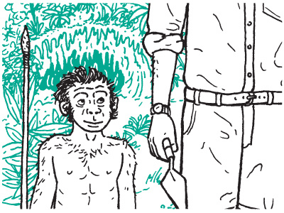 Homo Floresiensis book illustration