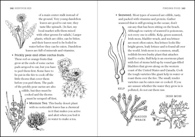 Survival book, plants spread book illustration