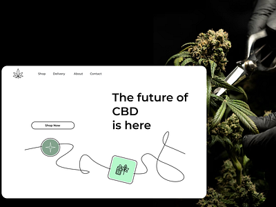 CBD Product Landing Page