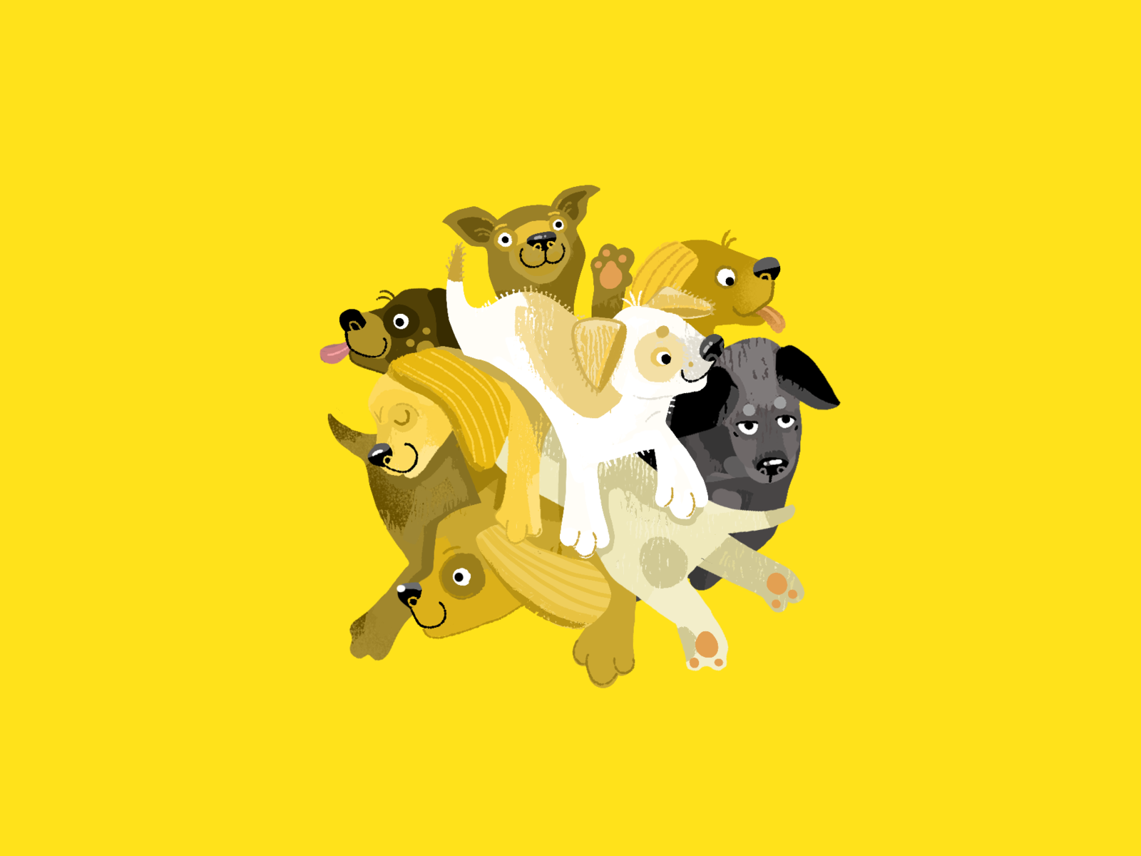 A litter of puppies can have more than one dad! by Marian Blair on Dribbble