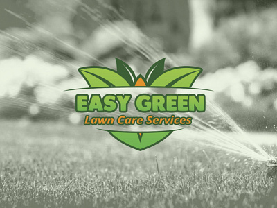 Easy Green Lawn Care lawn care