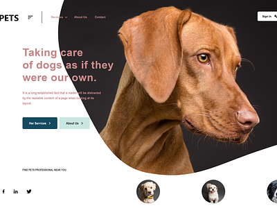 UI for a pets website