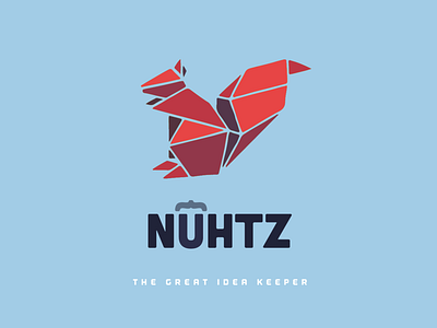 NUTZ App Screen Blu app branding concepts design flat logo vector