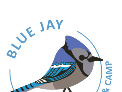 Green Jay | Bird Watching Academy atlantic puffin bald eagle size blue grosbeak carolina chickadee cedar waxwing bird design education green jay pileated woodpecker size