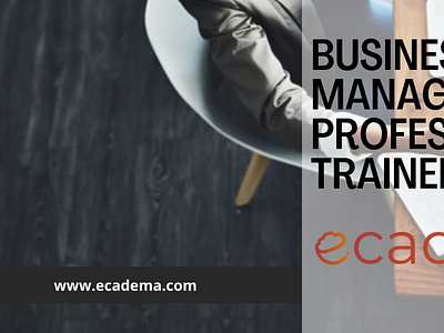 Business Management Professional Trainer
