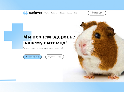 Corporative website for veterinary clinic figma ui ux webdesign website
