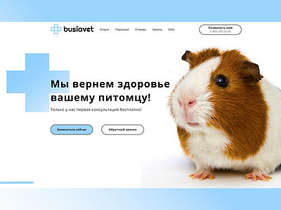 Corporative website for veterinary clinic