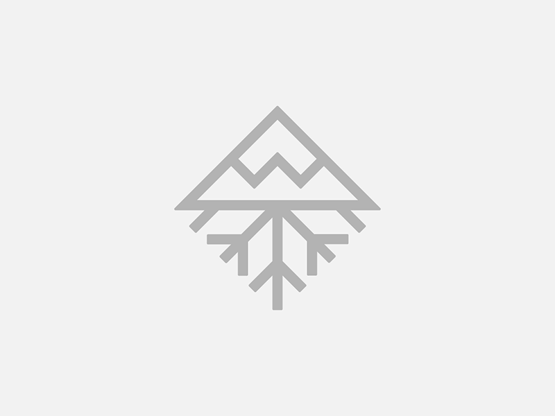 Snowdrop branding daily logo challenge icon logo mountain ski snow snowboard snowflake
