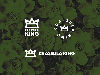 CRASSULA KING badge branding cactus crown icon king lettermark line art logo plants succulents typography vector