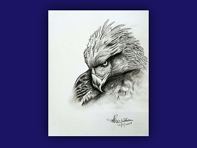 Eagle eye animal art bird black dark drawing eagle elegant falcon hand hand drawn illustration inspiration majestic pencil powerful simple sketch traditional white