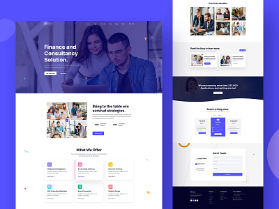 Business Consultant Landing Page