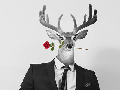 gentleman deer art deer design gentleman graphic graphic design graphicdesign photoshop rose