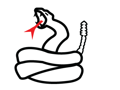 Rattler illustration line drawing snake